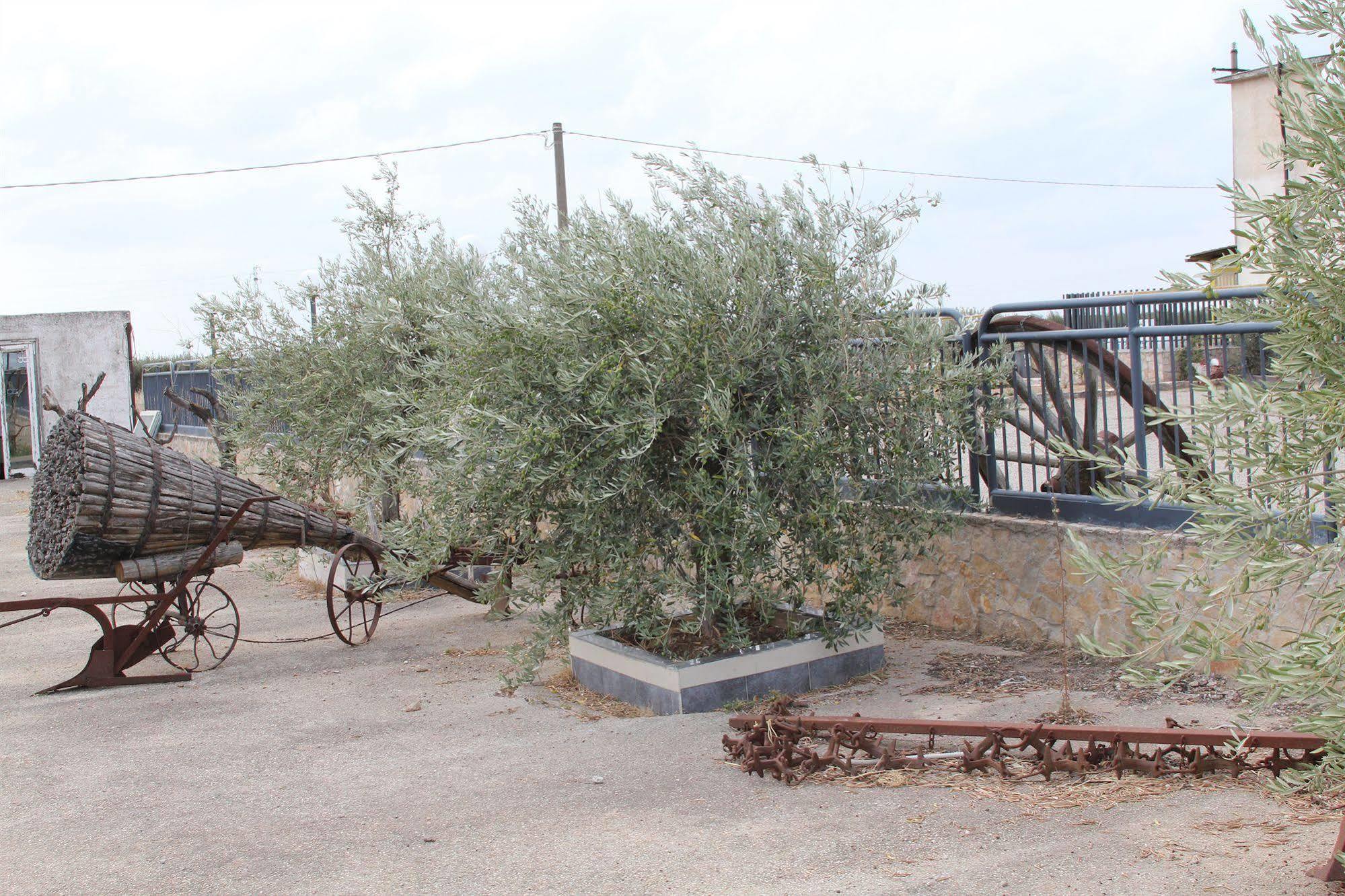 Agriturismo Silos Agri Villa San Severo Exteriör bild